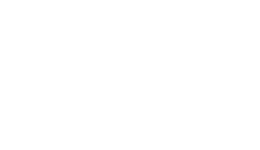 Carlsberg-logo-slide-white